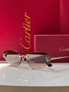 PHOTO-2026-04-07-20-56-07