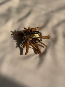 PHOTO-2026-04-08-12-11-39