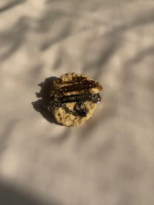 PHOTO-2026-04-08-12-11-41