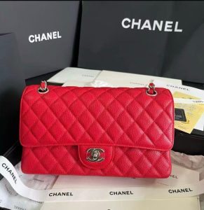 PHOTO-2026-04-14-21-13-12